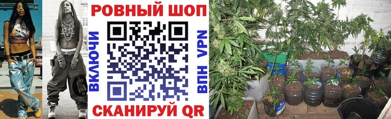 Купить Амфетамин  Меф мяу мяу  ГАШИШ  Бошки Шишки  А ПВП  Курган